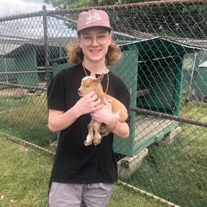 Meet your Posher, Alexander